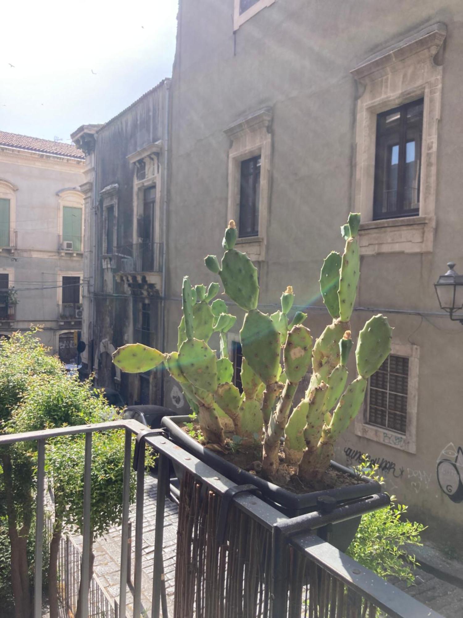 Apartamento Aita Domus CTA Exterior foto